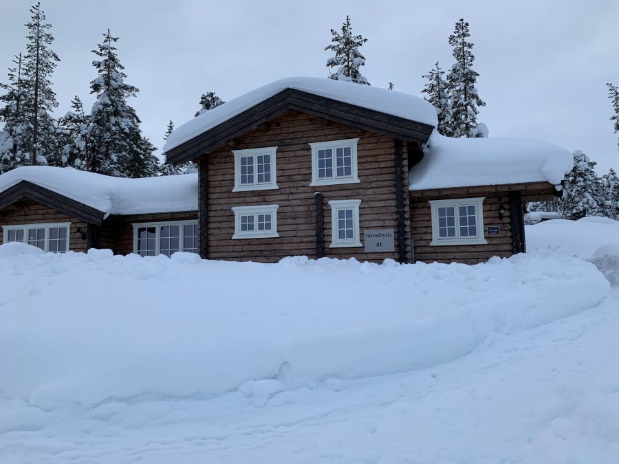 Mosetra 2 Trysil sørsiden